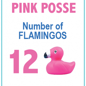 Twelve flamingos adoption pack Flamingo Float Florida beach event