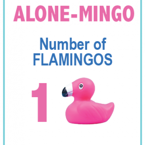 Adopt one flamingo Flamingo Float package Children’s Dream Fund