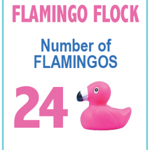 Twenty-four flamingos adoption Flamingo Float Madeira Beach