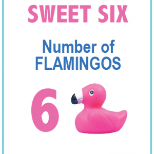 Six flamingos adoption option Flamingo Float fundraiser Tampa Bay